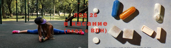 ГАЛЛЮЦИНОГЕННЫЕ ГРИБЫ Балахна