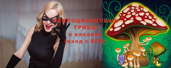 ГАЛЛЮЦИНОГЕННЫЕ ГРИБЫ Балахна
