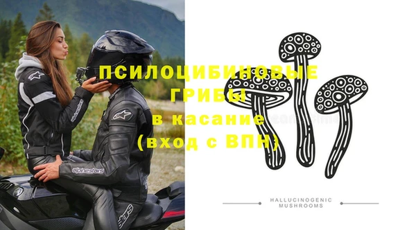 ГАЛЛЮЦИНОГЕННЫЕ ГРИБЫ Балахна