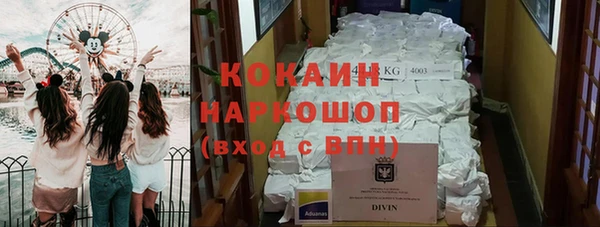 ГАЛЛЮЦИНОГЕННЫЕ ГРИБЫ Балахна