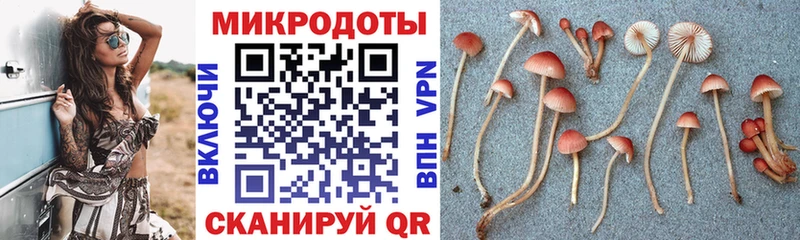 где купить наркоту МЕГА Галлюциногенные грибы ЛСД Гаджиево