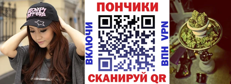 закладка  Гаджиево  Марихуана гибрид 